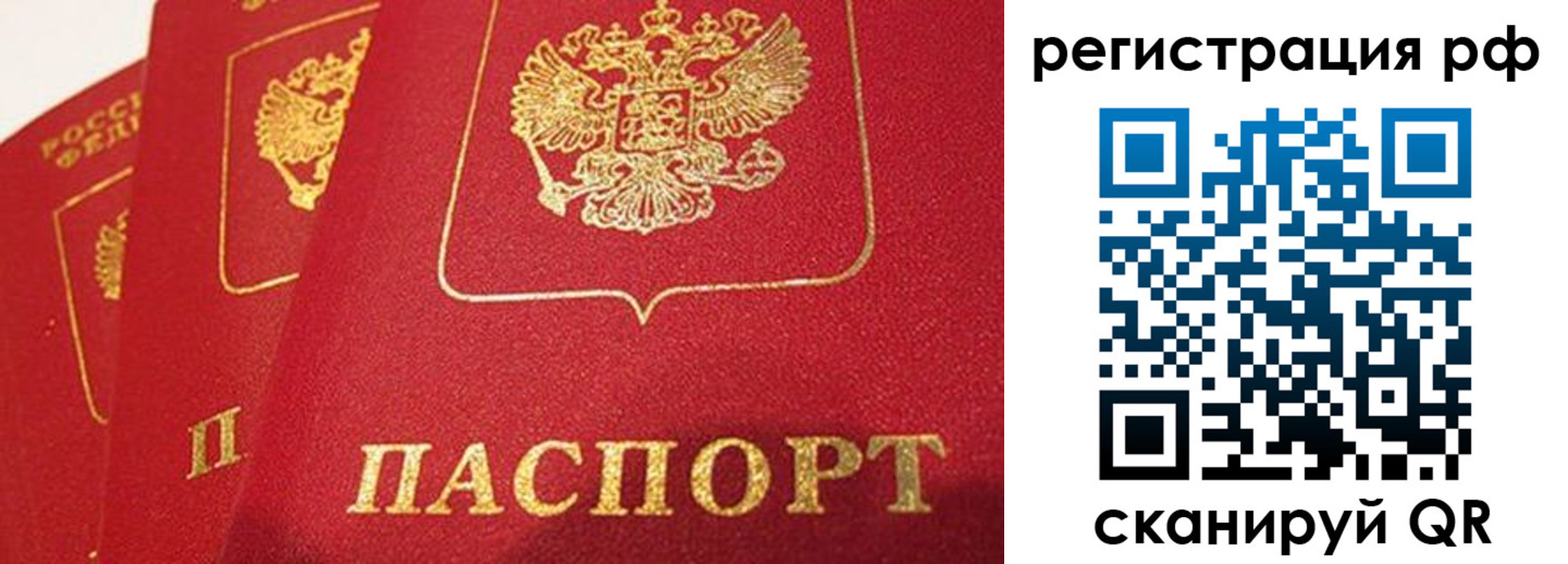 прописка поиск в Венёве